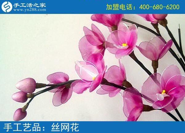 手工之家各種漂亮的絲網(wǎng)花 廢物利用美觀(guān)實(shí)用 永不凋謝的美麗(圖3)