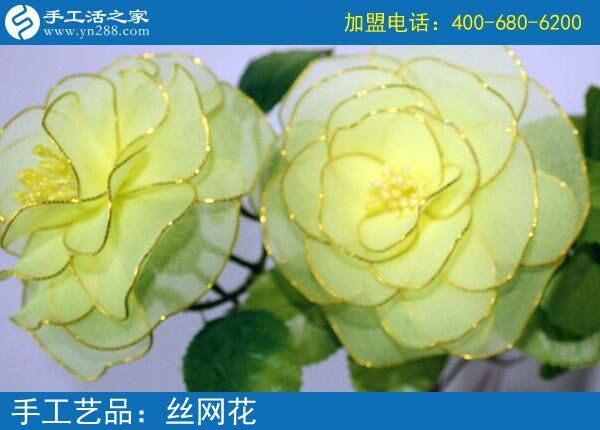 你見過這么漂亮的絲網花嗎？純手工制作廢物利用 花的世界花的海洋！(圖4)