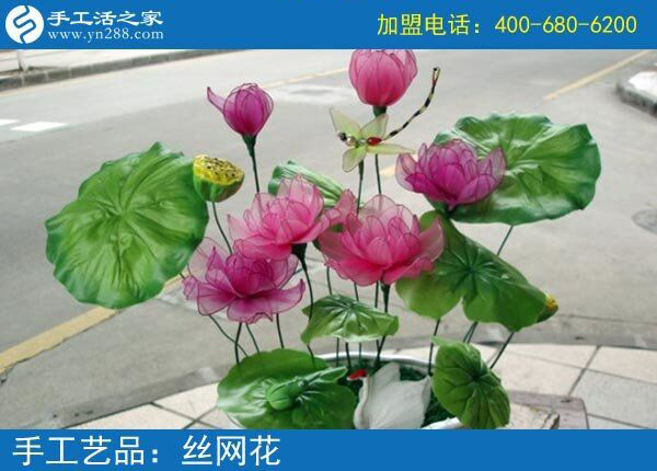 你見過這么漂亮的絲網花嗎？純手工制作廢物利用 花的世界花的海洋！(圖5)