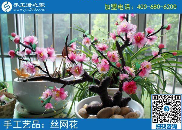 房?jī)r(jià)貴買(mǎi)不起，她卻不放棄，3年了，黑龍江雞西唐女士用這個(gè)追逐夢(mèng)想