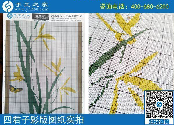 手工之家雅薇麗珠繡圖紙（梅蘭竹菊）新款，彩色升級(jí)版！(圖5)