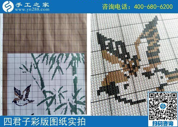 想在家掙錢，四川綿陽劉女士為什么選擇干這個(gè)，真的能掙錢嗎？