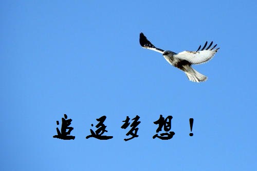 追夢(mèng)路上，付出和堅(jiān)守就是成功的秘訣-------手工之家新疆阿克蘇地區(qū)某加工會(huì)員成長(zhǎng)記(圖1)