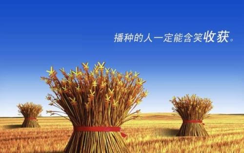 （干貨）分享：判斷在家做的手工活加工項(xiàng)目的正規(guī)性，這幾個(gè)角度要注意(圖3)