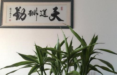 （干貨）分享：判斷在家做的手工活加工項(xiàng)目的正規(guī)性，這幾個(gè)角度要注意(圖5)