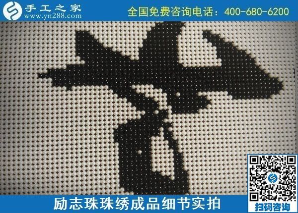9月15日，想在家做手工活掙錢，越來(lái)越多的人選擇這個(gè)可以寄到家做的手工活，勵(lì)志珠珠繡成品細(xì)節(jié)實(shí)拍