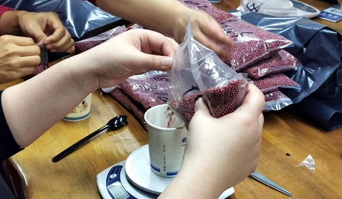 加班到夜里十點(diǎn)，要讓珠繡外發(fā)材料盡快到加工人員的手中(圖5)