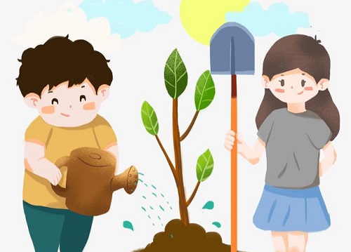用心去種，才能成就一棵能擋雨納涼的大樹 --- --- 手工之家植樹節(jié)有感