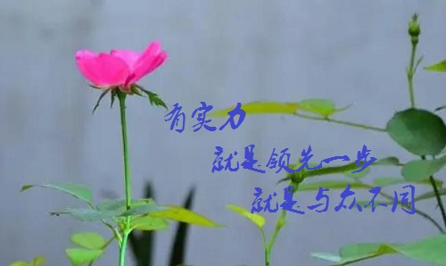 手工活接單正規(guī)平臺，有實(shí)力的手工廠家是啥樣的？