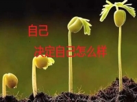 能在家做的手工副業(yè)，你是否能做純手工項(xiàng)目掙錢？