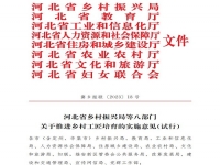 爭做鄉(xiāng)村工匠，我們一起用手工助力鄉(xiāng)村振興