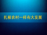 在家能做的兼職正規(guī)可靠，扎根農(nóng)村一樣有大發(fā)展