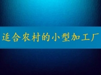 適合農(nóng)村的小型加工廠，月入2萬不算多，你有時(shí)間也能做