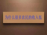 為什么很多農(nóng)民的收入低？這2點(diǎn)做好了，在家兼職手工活收入是杠杠滴