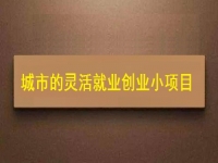 適合城市靈活就業(yè)創(chuàng)業(yè)的小項(xiàng)目，正規(guī)純手工多了1項(xiàng)收入