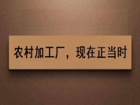 這個(gè)農(nóng)村加工廠項(xiàng)目，沒(méi)關(guān)系、沒(méi)錢也可以做好，你還等什么？