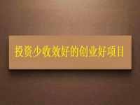 投資不到3萬(wàn)，1個(gè)人就能干，利潤(rùn)很高，每天收入能上千，我能做嗎