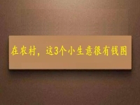 都說在農(nóng)村不好賺錢，可以試試這幾個(gè)小生意，很有“錢”圖