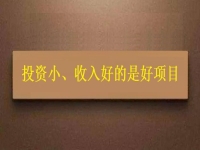投資這么小，為什么收入?yún)s能這樣好？這個拿回家做的手工項目給出了答案