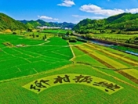 普通人應(yīng)該如何抓住鄉(xiāng)村振興創(chuàng)業(yè)風(fēng)口？