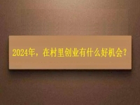 2024年，在村里創(chuàng)業(yè)還有什么好機會？