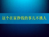 這個(gè)在家掙錢(qián)的事兒不挑人，2024要掙錢(qián)，你我就靠它了