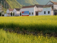 適合農(nóng)村個(gè)人在家創(chuàng)業(yè)的項(xiàng)目，好做的純手工有兩份收入