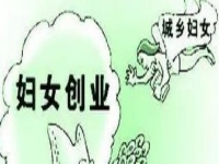 農村創(chuàng)業(yè)、城市創(chuàng)業(yè)，家庭主婦等女士做手工傳承官都是自帶優(yōu)勢