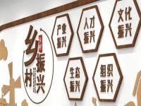不打工，在農(nóng)村做什么好？不負時光，純手工活兒整出好“錢”景