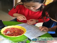 黑龍江大慶閆女士來手工活之家網(wǎng)做串珠繡外發(fā)項(xiàng)目了，給您致富支招