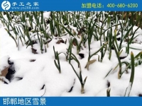 雪天串珠繡，足不出戶在家賺錢！邯鄲魏縣賈女士的手工活兼職記