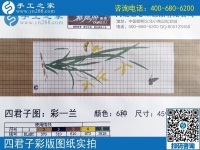 手工之家雅薇麗珠繡圖紙展示：一學(xué)就會，一看就懂的手工活！
