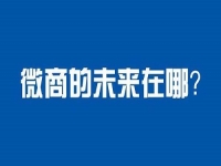 未來微商會怎樣發(fā)展？這八大趨勢一定要看