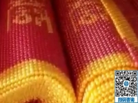 做手工活加工事業(yè)，沒(méi)有任何門檻，男士也很青睞