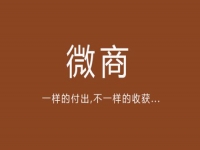 給你一點(diǎn)啟發(fā)，淺談微商的價(jià)值