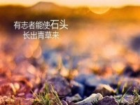 做微商賺不到錢？你是不是犯了這個錯誤