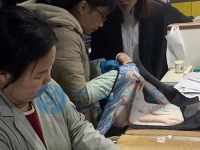 2月26日，在家做手工活靠譜，創(chuàng)意珠繡串珠手工活外發(fā)加工項目就來十多年的手工企業(yè)，圖為手工之家倉儲部日常工作剪影