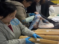 在家庭工作做手工活外接串珠子，常年輕松快樂(lè)把錢賺